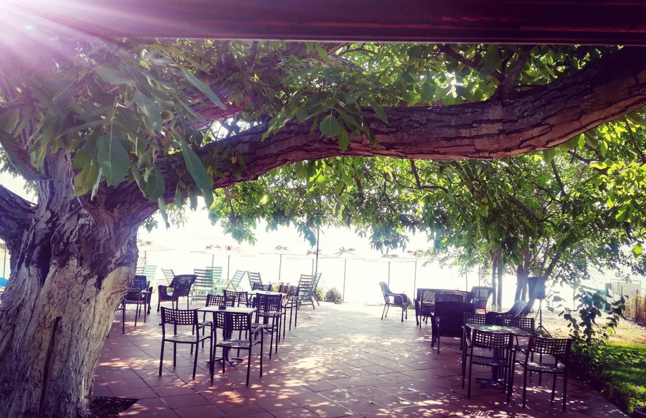 Apartmani Alex Beach Dojran Ngoại thất bức ảnh
